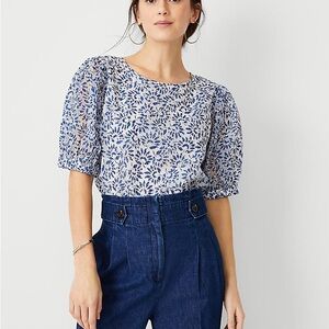 Ann Taylor Blue and White Relaxed Blouse with Short Sleeves